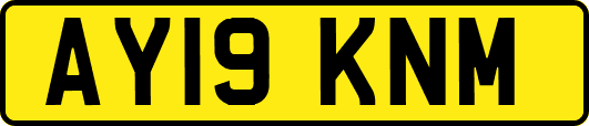 AY19KNM