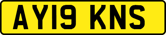AY19KNS