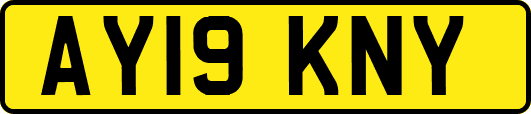 AY19KNY