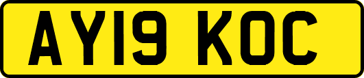 AY19KOC