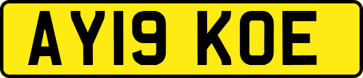 AY19KOE