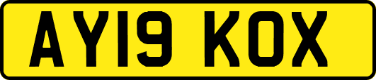 AY19KOX