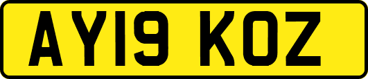 AY19KOZ
