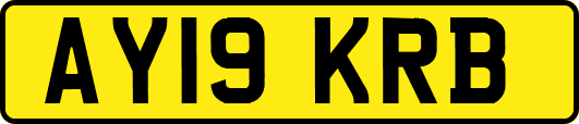 AY19KRB