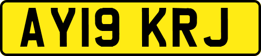 AY19KRJ
