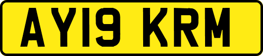AY19KRM