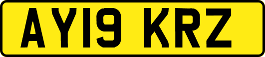 AY19KRZ