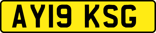 AY19KSG