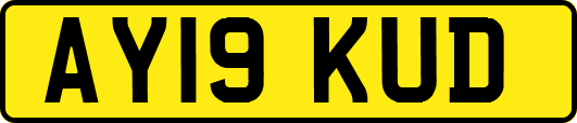 AY19KUD