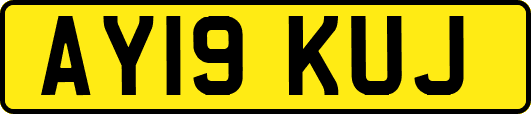 AY19KUJ