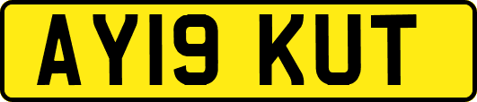 AY19KUT