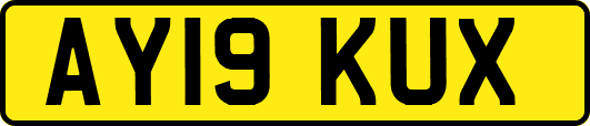 AY19KUX