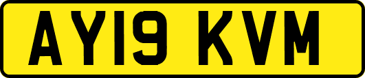 AY19KVM