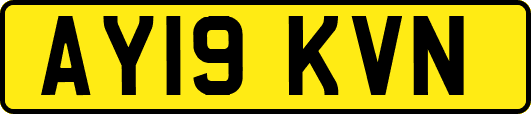AY19KVN