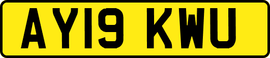 AY19KWU