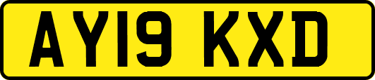 AY19KXD