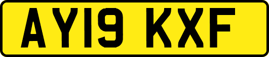 AY19KXF