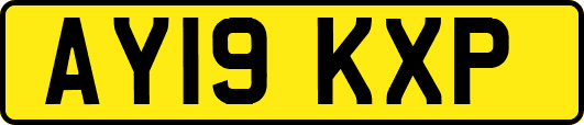 AY19KXP