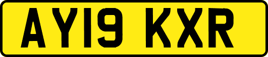 AY19KXR