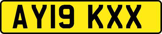 AY19KXX