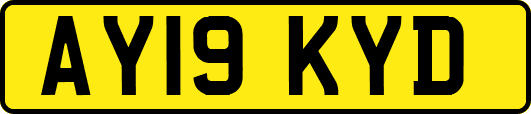 AY19KYD