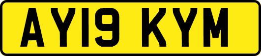 AY19KYM