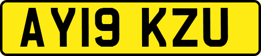 AY19KZU