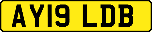 AY19LDB