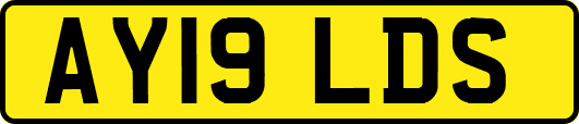 AY19LDS