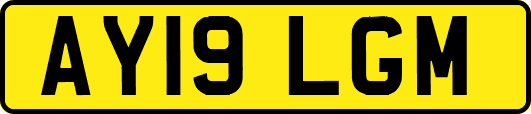 AY19LGM