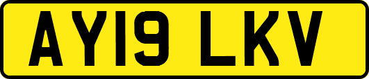 AY19LKV