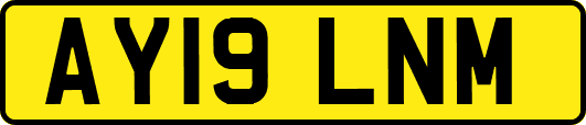 AY19LNM