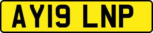 AY19LNP
