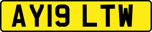 AY19LTW