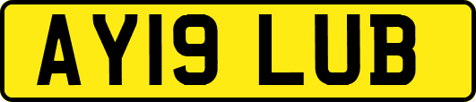 AY19LUB