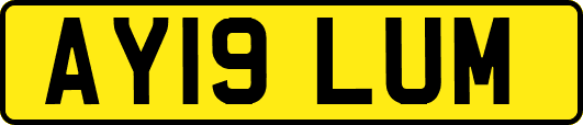 AY19LUM