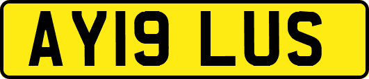 AY19LUS