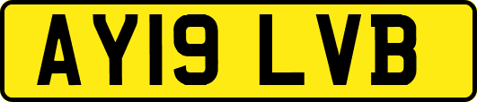 AY19LVB