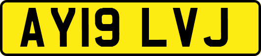 AY19LVJ