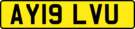 AY19LVU