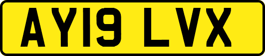 AY19LVX
