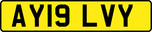 AY19LVY