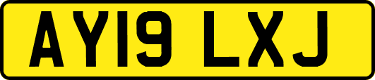 AY19LXJ