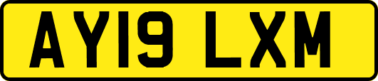 AY19LXM