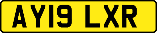 AY19LXR