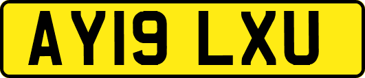 AY19LXU