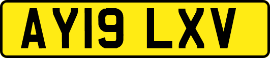 AY19LXV