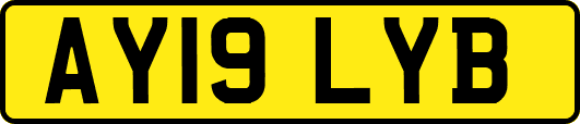 AY19LYB