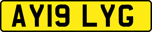 AY19LYG
