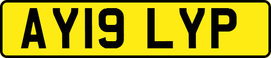 AY19LYP
